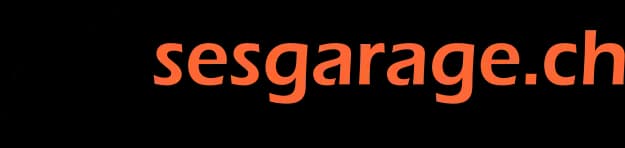 Sesgarage Logo